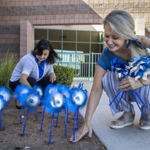 advocates-plant-pinwheels-for-child-abuse-prevention-month