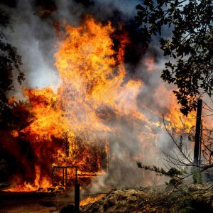 evacuations-ordered-for-california-wildfire-near-yosemite