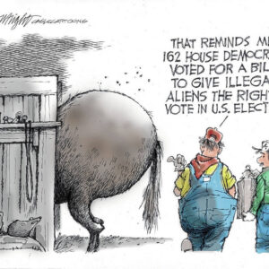 cartoons:-letting-illegal-aliens-vote-brings-this-to-mind