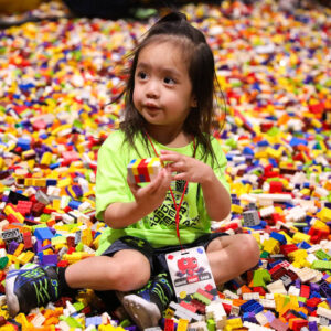 hundreds-enjoy-legos-at-brick-fest-live-—-photos