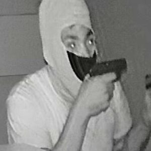 homeowner,-grandkids-held-at-gunpoint-during-burglary-spree,-police-say