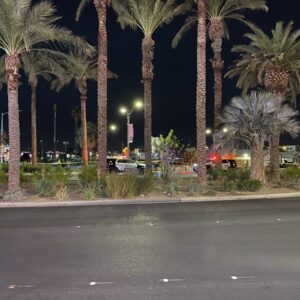 police:-man-fatally-shot-after-fight-with-two-men-in-downtown-las-vegas