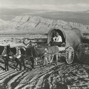 5-weird-nevada-stories-you-may-have-missed-this-year