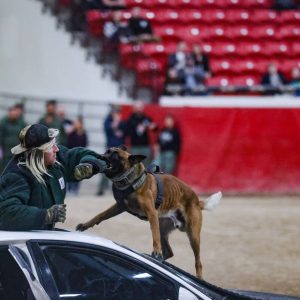 for-the-dogs:-k-9-trials-showcase-paw-enforcement