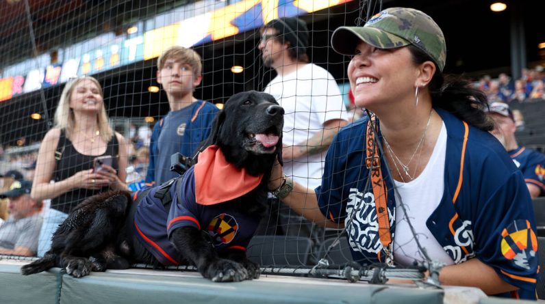 aviators’-beloved-bat-dog-honored-at-las-vegas-ballpark-—-photos
